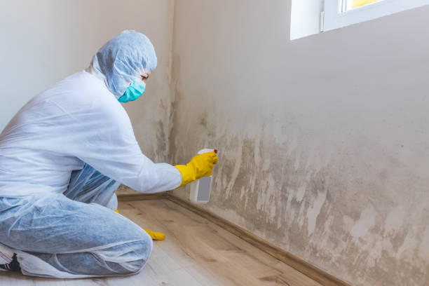Mold inspector in Horntown performing thermal imaging