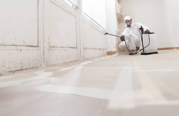 Black mold remediation team in Horntown