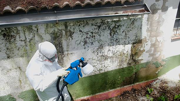 Mold Remediation service in Horntown, Horntown, VA